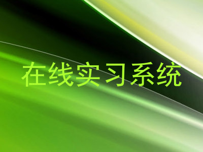 在线实习系统