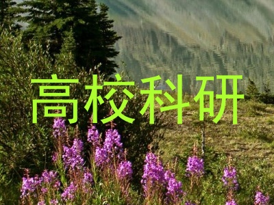 高校科研