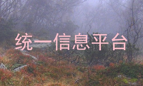 统一信息平台