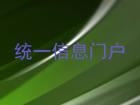 统一信息门户