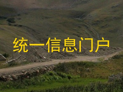 统一信息门户