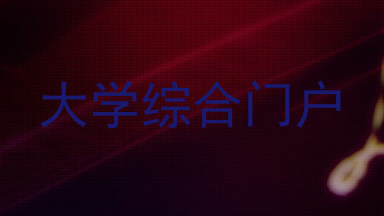 大学综合门户