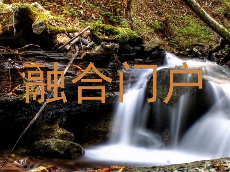 融合门户
