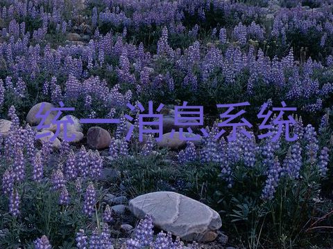 统一消息系统