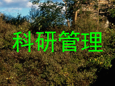 科研管理