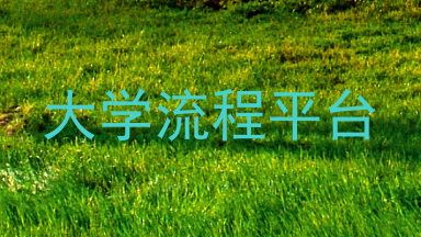 大学流程平台