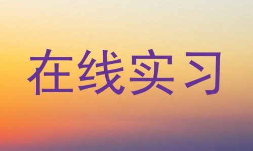 在线实习