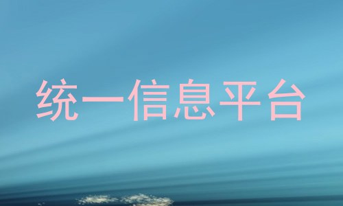 统一信息平台