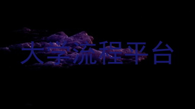 大学流程平台