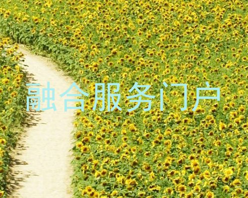 融合服务门户