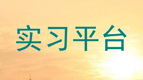 实习平台