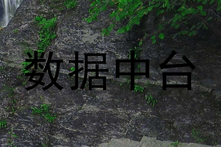 数据中台
