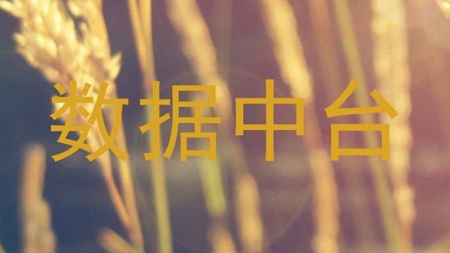 数据中台