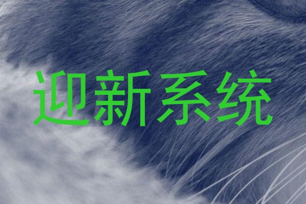 迎新系统