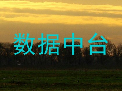 数据中台