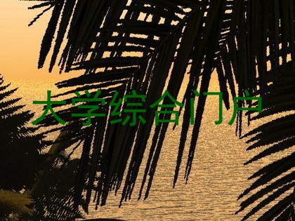 大学综合门户