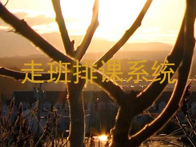 走班排课系统