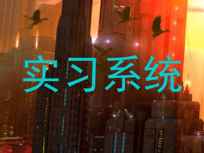实习系统