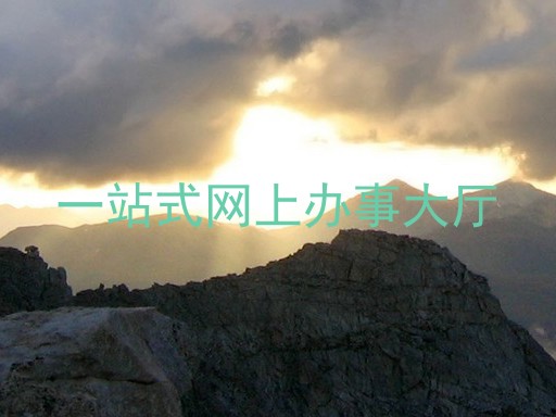 一站式网上办事大厅