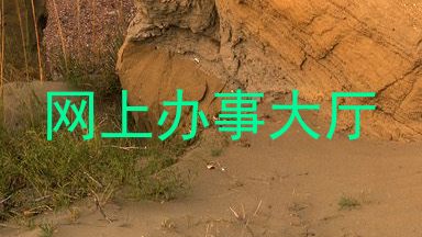 网上办事大厅