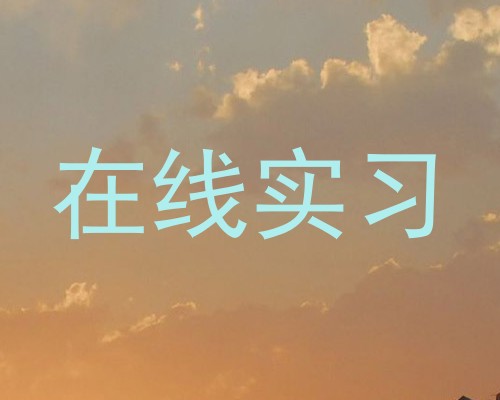 在线实习