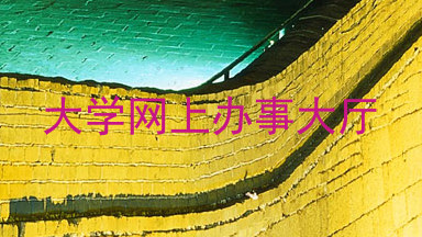 大学网上办事大厅
