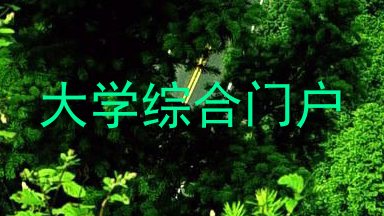 大学综合门户