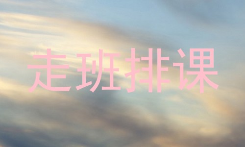 走班排课