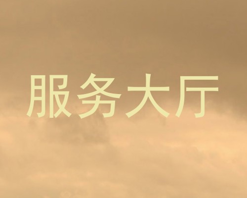 服务大厅
