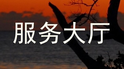 服务大厅