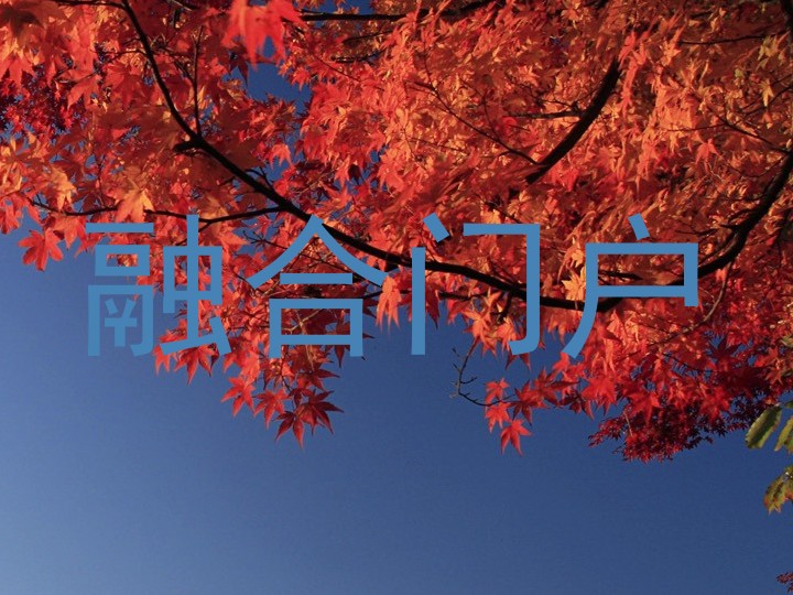 融合门户