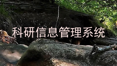 科研信息管理系统
