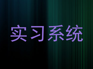 实习系统