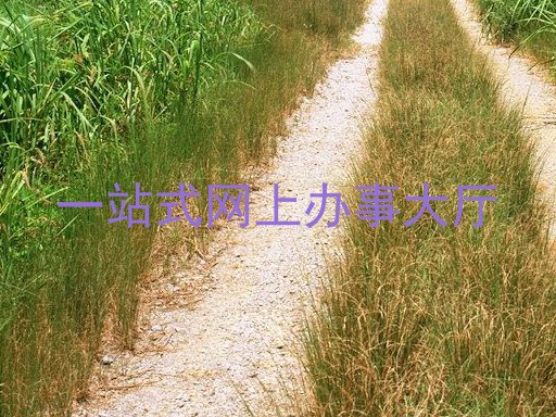一站式网上办事大厅