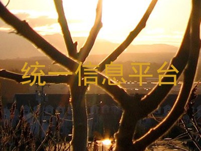 统一信息平台