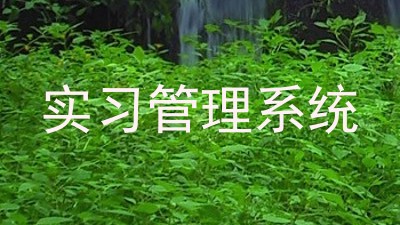 实习管理系统