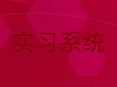 实习系统