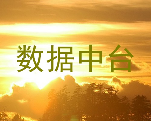 数据中台