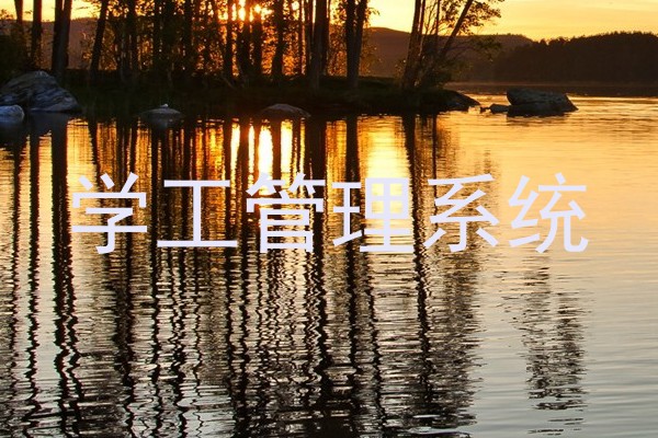 学工管理系统