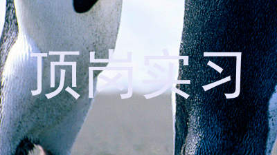 顶岗实习