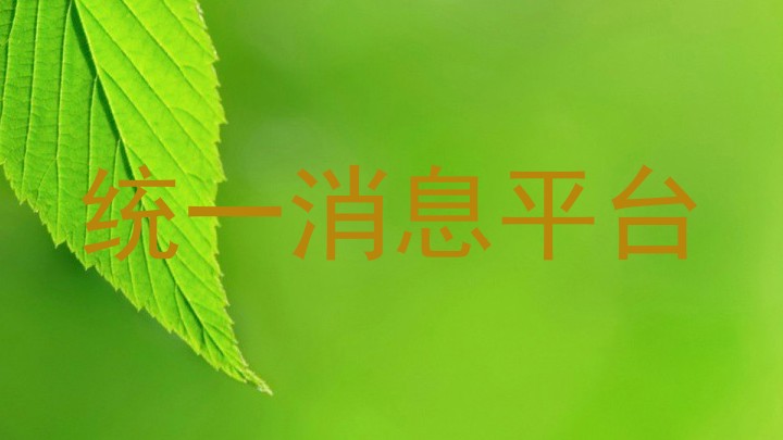 统一消息平台