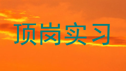 顶岗实习