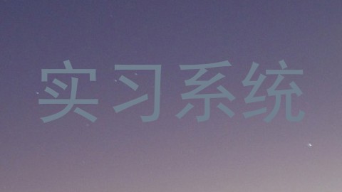 实习系统