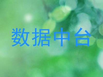 数据中台