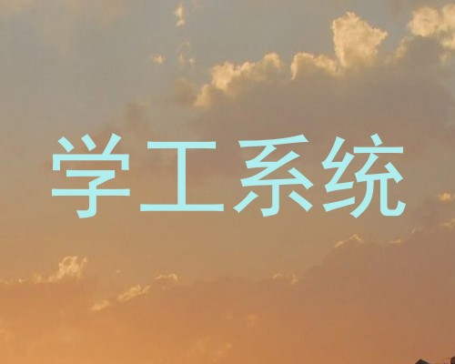 学工系统