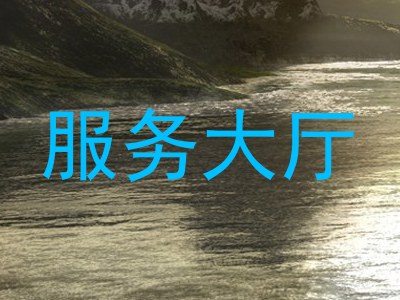 服务大厅