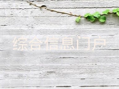 综合信息门户
