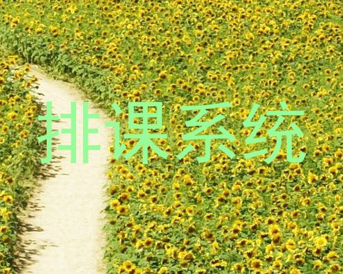 排课系统