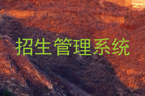 招生管理系统