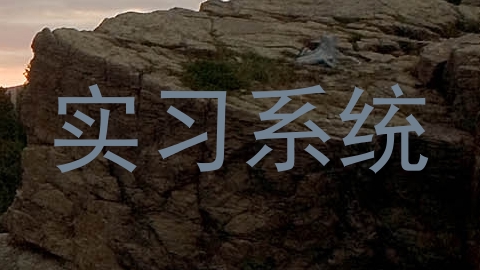 实习系统